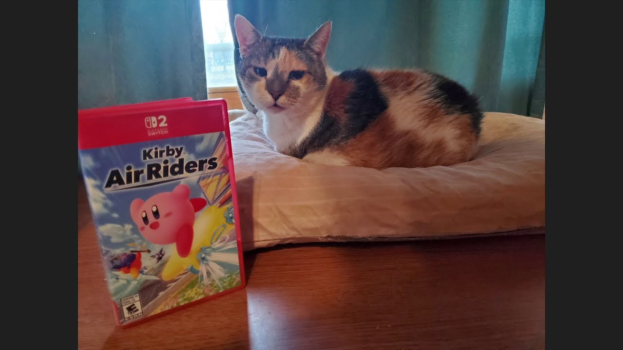 I Wanted to Like Kirby Air Riders, But I Don't