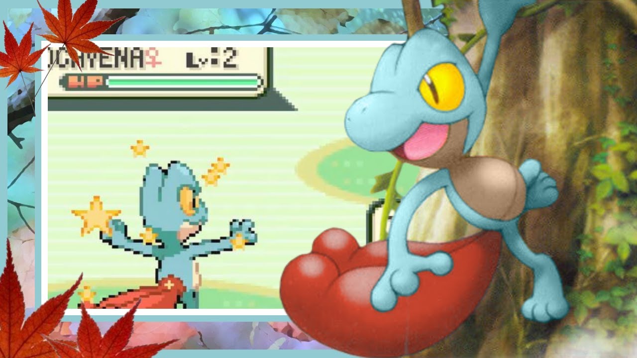 LIVE!! Shiny Treecko After a Total of 35,329 SRs/70,658 Seen + 4 Uncatchable Pooches (DTQ #1)