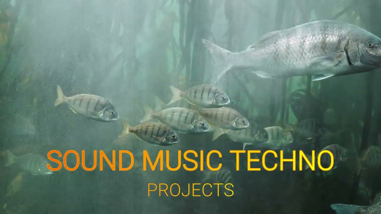 SOUND MUSIC TECHNO PROJECTS 21,NOVEMBER 2024 #music #musictechno #musikviral #musikhits