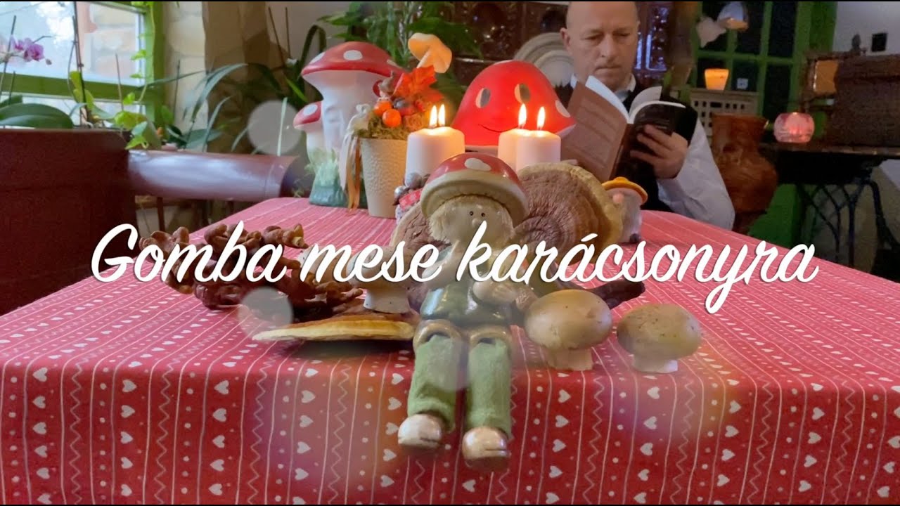 Gomba mese - Előadja: Gyöngyösi Sándor