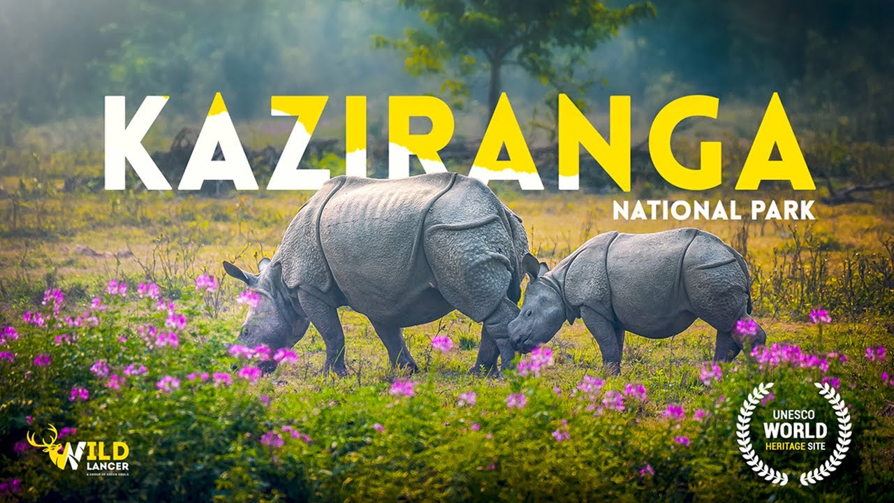 Kaziranga National Park,  Assam | Kaziranga Wildlife Tour | Wildlife Photography