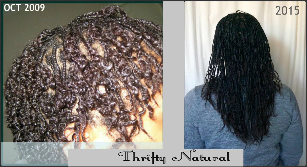 Mini Braids Over 6 Years- Long Natural Hair | Thrifty Natural