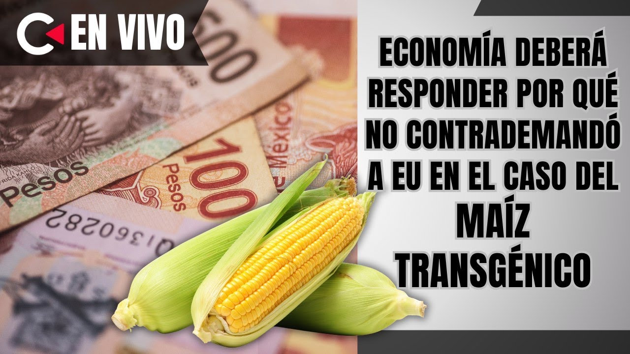 CONTRALÍNEA | Economía deberá responder por qué nocontrademandó a EU en el caso delmaíz transgénico