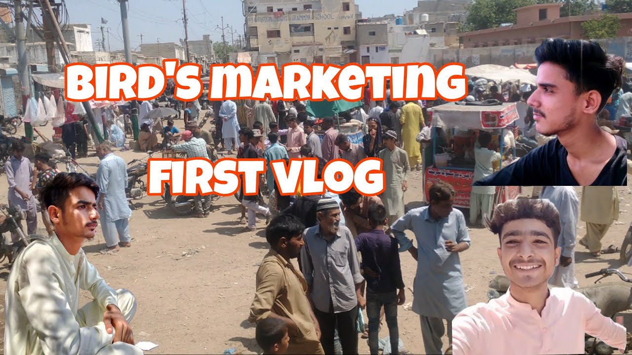 kabutar market first vlog Sunday morning at market/2024/19/may