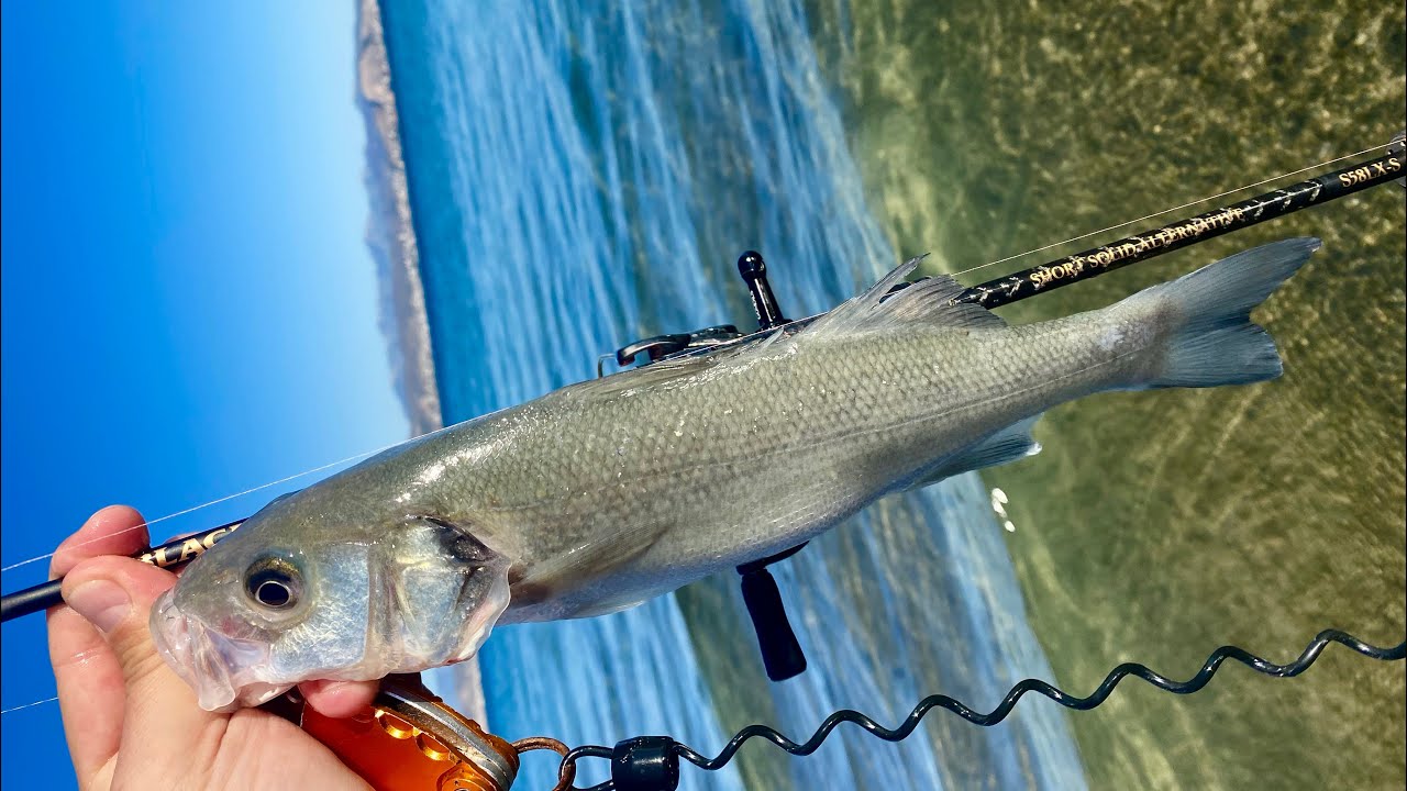 Λρφ με κάτι που δεν ξανάγινε!!! Ωραία ψαράκια. lrf fishing in Greece