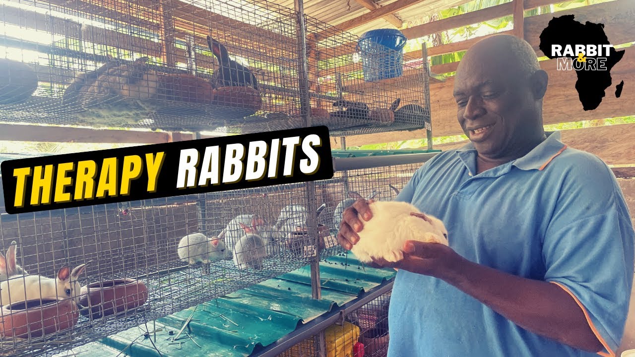 Retired Couple Using Rabbit Farming as THERAPY || K&E Rabbit Farms