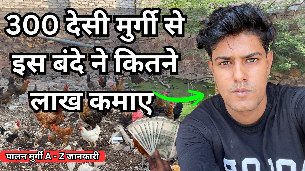 इस बार सर्दी में कितने लाख के अंडे बेच दिए | desi murgi business profit hindi