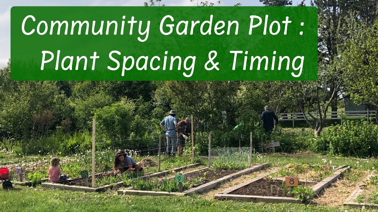 Designing Your Community Garden Plot: Essential Plot Plan Tips and Ideas