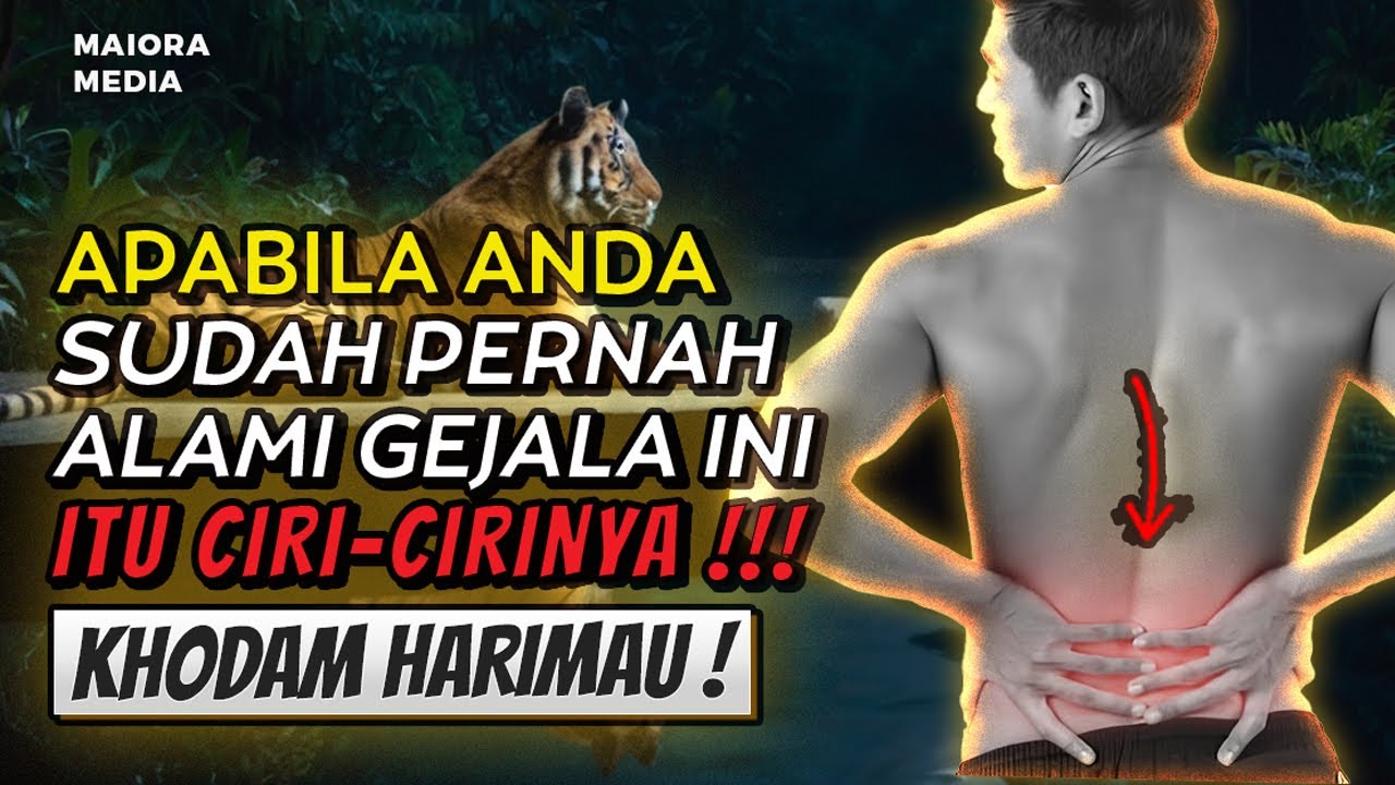 MUNGKIN ANDA PERNAH ALAMI INI , JIKA PERNAH , MAKA ITU CIRINYA ❗ Ciri Pemilik Khodam Harimau Leluhur