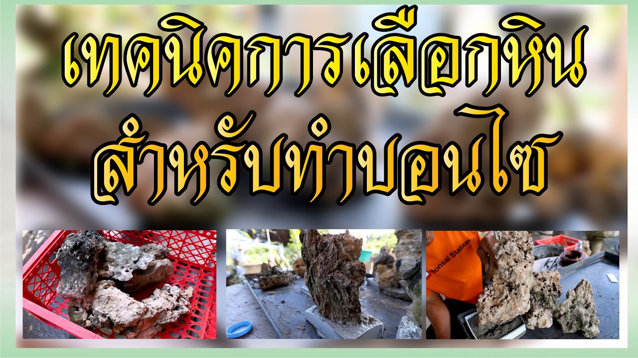 Bonsai Station [Workshop Station] EP.36 เทคนิคการเลือกหินบอนไซ