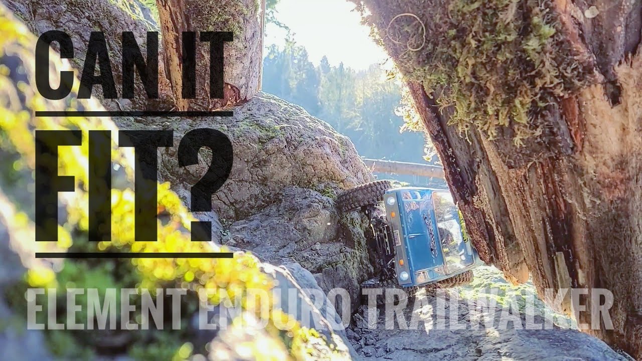 Can it fit? - Element Enduro Trailwalker