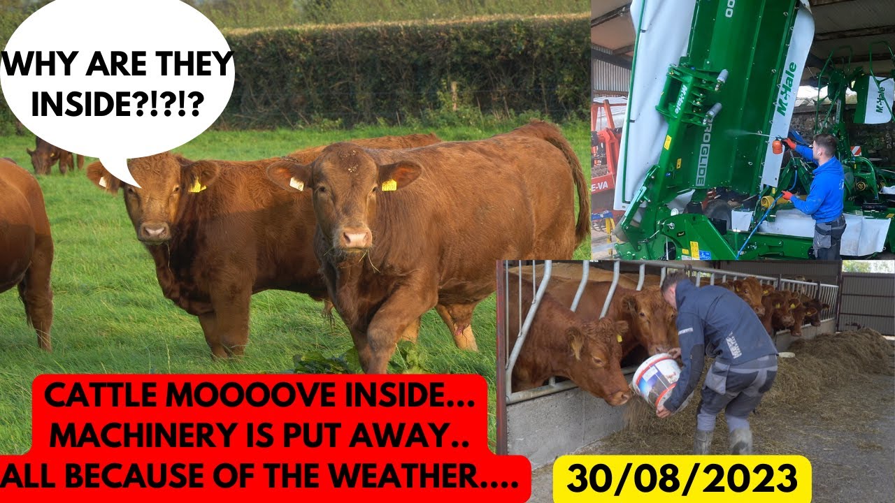 BIG WEEK ON THE FARM EPISODE 15