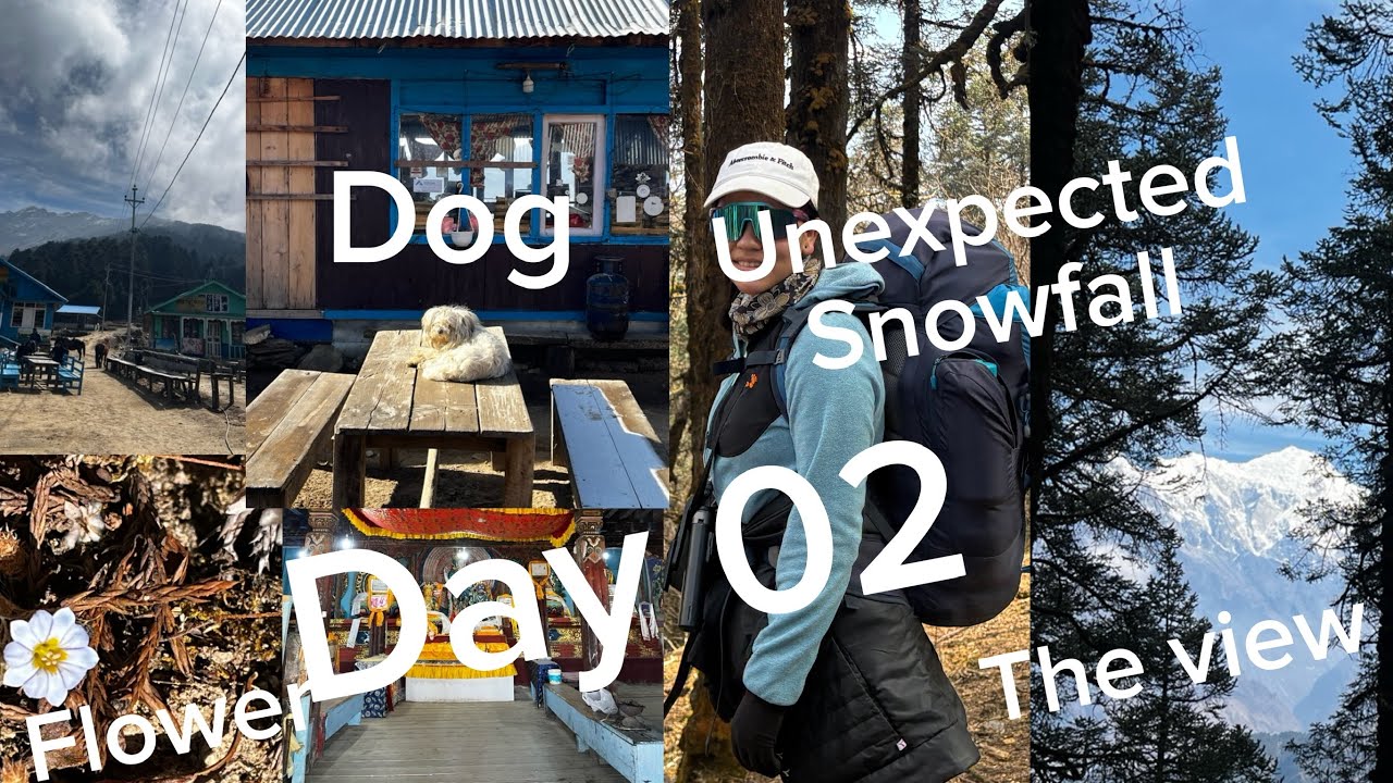 Unexpected Snowfall on Our Gosaikunda Trek! | Day 2  ❄️🏔️