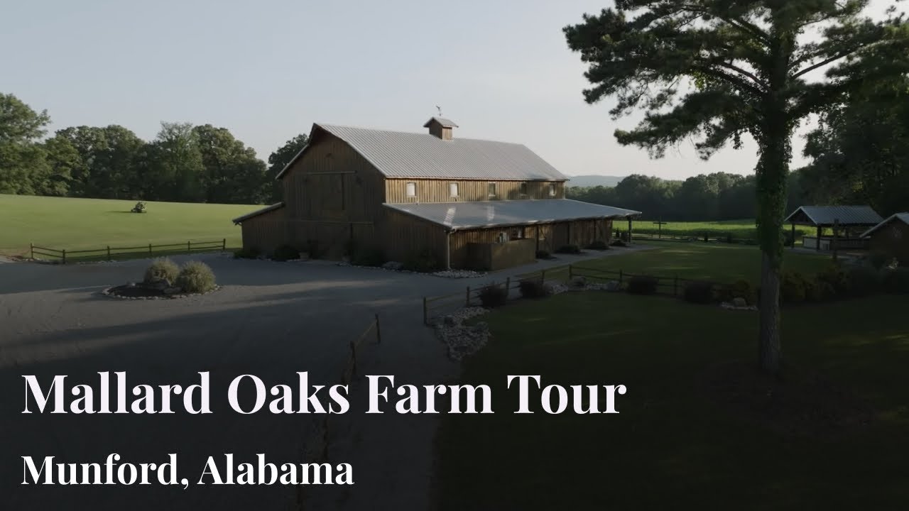 Mallard Oaks Farm in Munford, Alabama--Full Venue Walkthru Tour #alabamaweddingvenues