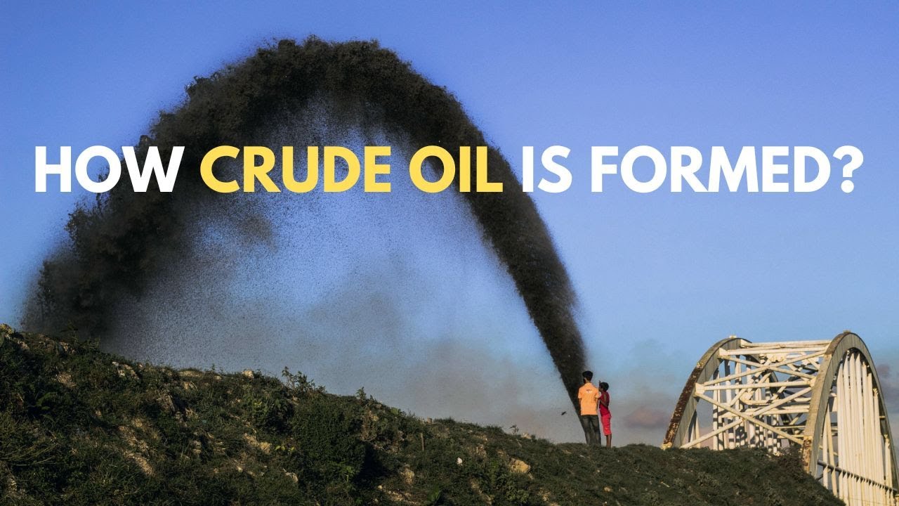 Как образуется сырая нефть