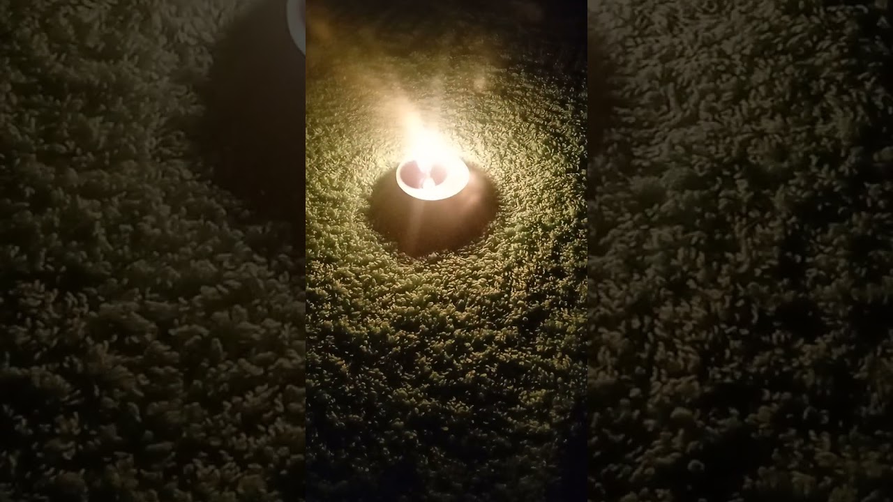 Горькая правда... 