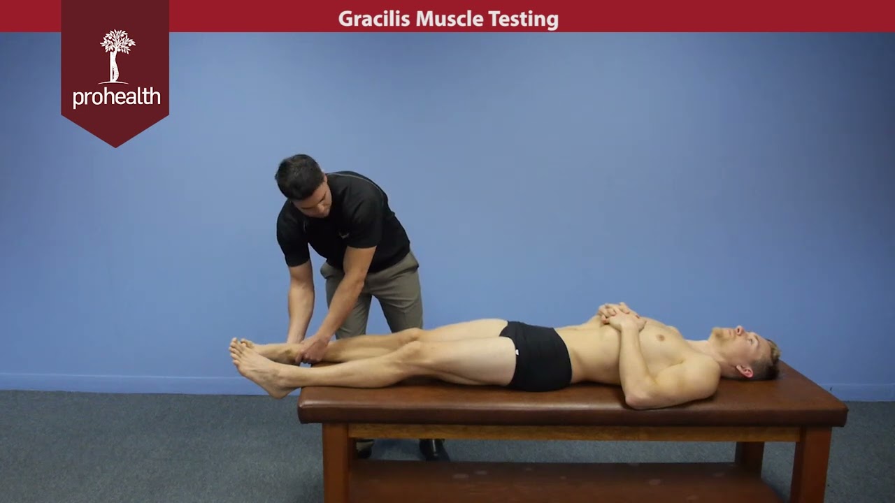 Test mięśni smukłych Dr Nikita Vizniak Podręcznik mięśniowy