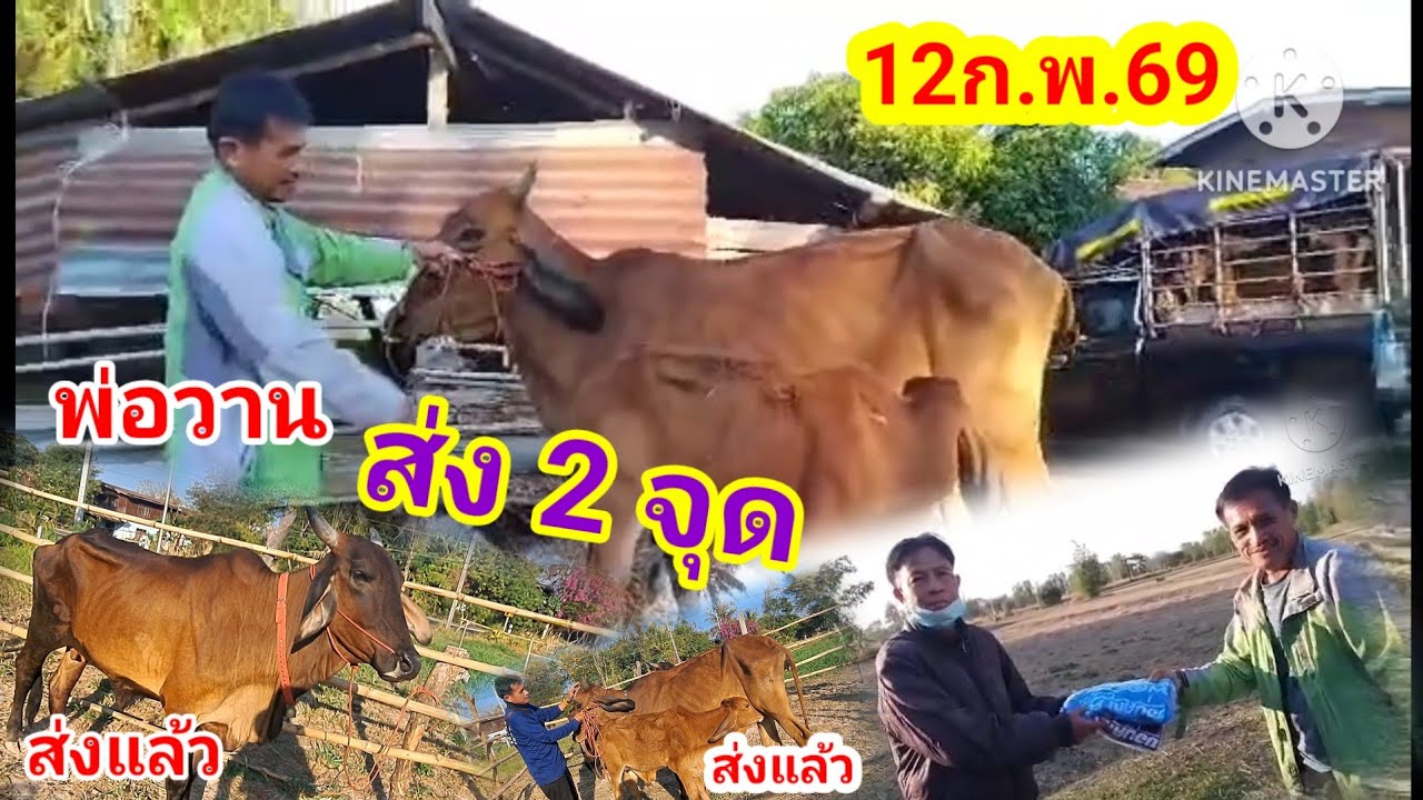 จัดส่งโดยบ่าวยันต์ /ทีมงานพ่อวาน/12ก.พ.69