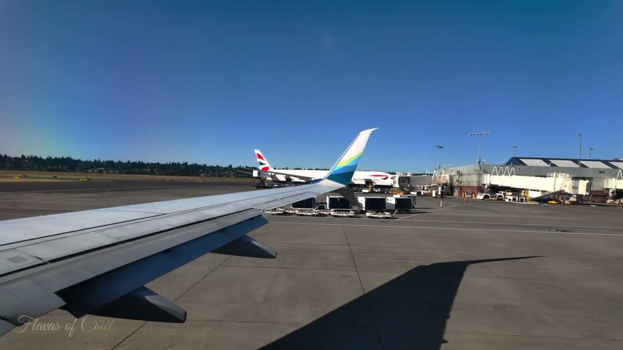 Portland to Chicago O’Hare | 4 Hours of Real Flight Ambience with Crew, Call Dings & Jet Engine Hum