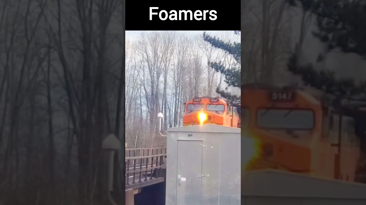 Railfan Foamers Be Like #shorts  #train