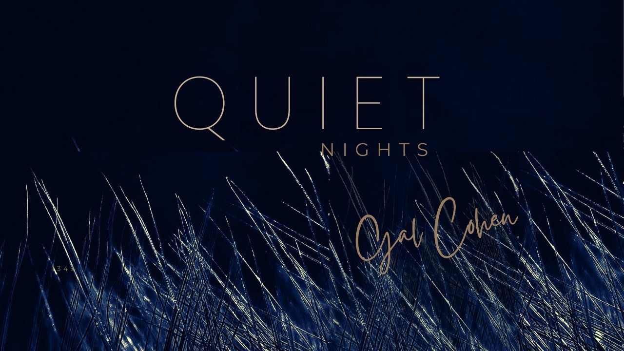 QUIET NIGHTS — Pociąg nocą | Monotone Night Journey