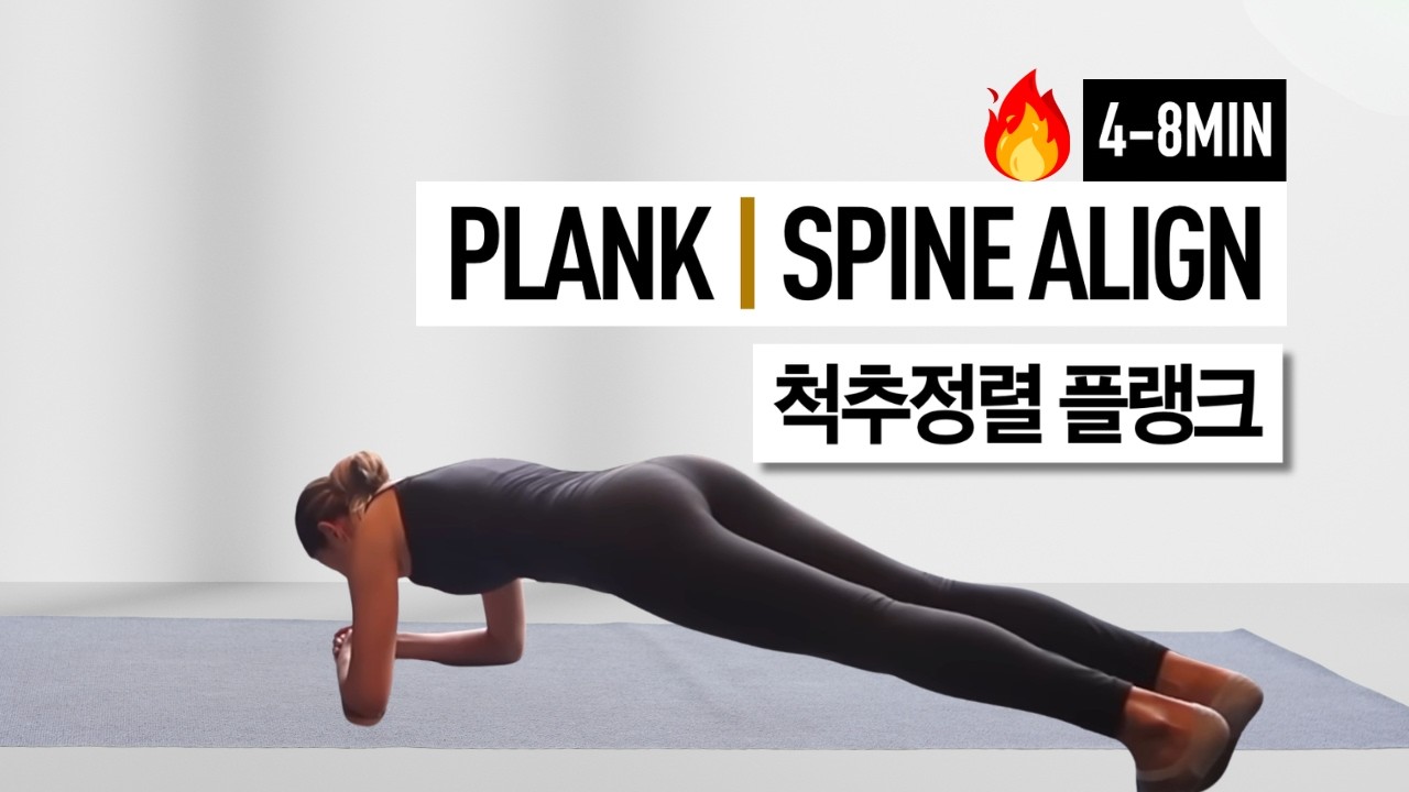 척추교정, 척추기립근 강화, 3일후 11자 복근완성! 👍