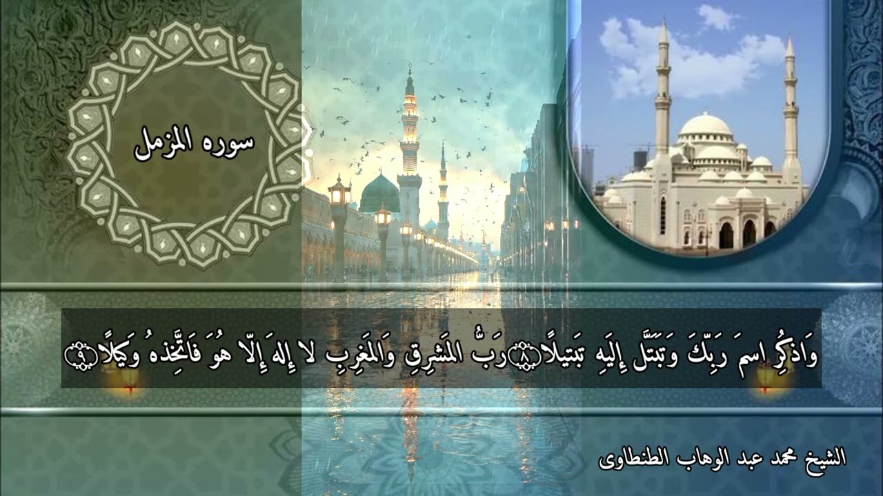 الشيخ محمد عبد الوهاب الطنطاوى --نوادر روعه اجمل ما قراء رحمه الله 
