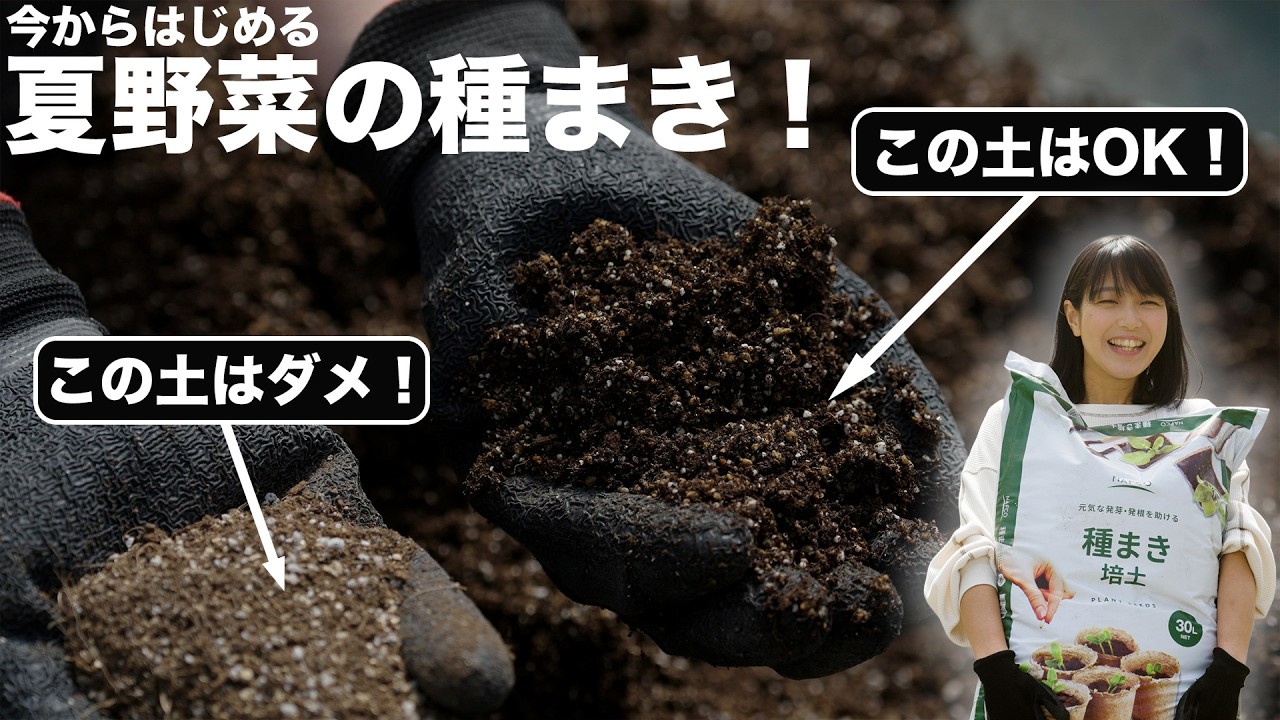 3月に種まき【温床いらず】ホームセンターの種をまくv-log（キュウリ・トマト・ナス・ピーマン・トウガラシ・カボチャ他）