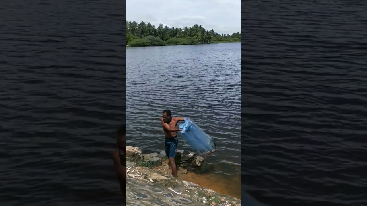 Fishing 🎣 Pondicherry #reels #blissed #fishing #fishing #shortvideo #shorts #pondicherry #beach