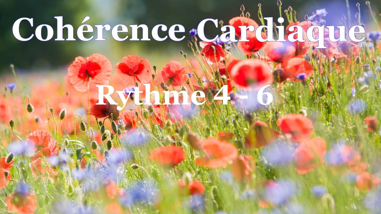 Coh&eacute;rence Cardiaque Rythme 4/6 10 mn