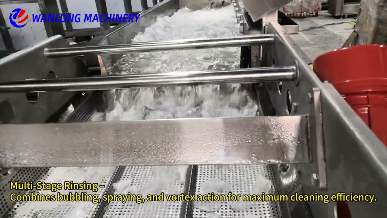 High-Speed Vortex Washing Machine for Radish | Industrial Vegetable Cleaner