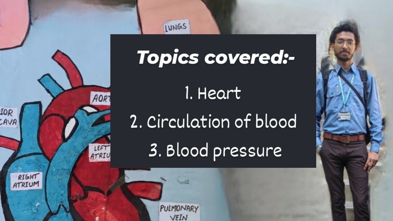 Human Heart Full Explanation | Blood Circulation & BP in Simple Language