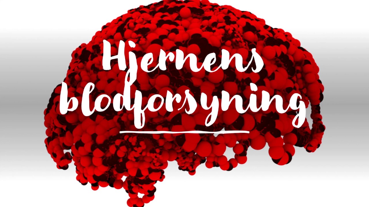 Blodforsyning