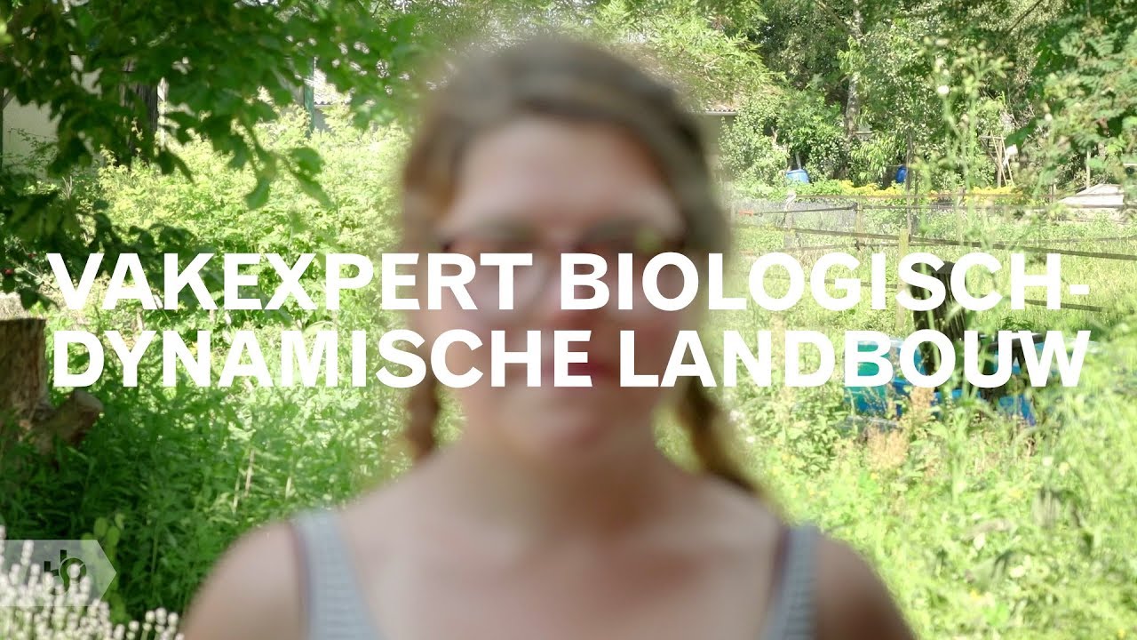 Praktijkleren: Vakexpert biologisch-dynamische landbouw