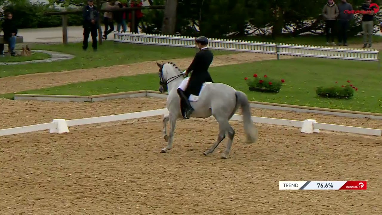 CDI4* Schindlhof Fritzens, B07 Grand Prix Kür mit Musik 1. Platz Frederic Wandres auf Hot Hit OLD