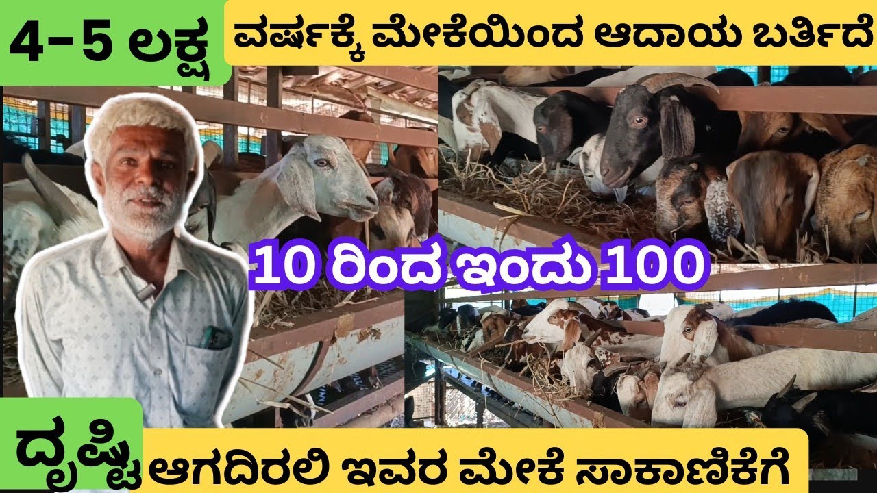 Part-2 ಮೇಕೆ ಬ್ರೀಡಿಂಗ್ ನಲ್ಲಿ ಅತೀ ಹೆಚ್ಛು ಲಾಭ ಇದೆ|| Goat and Sheep farming kannada 