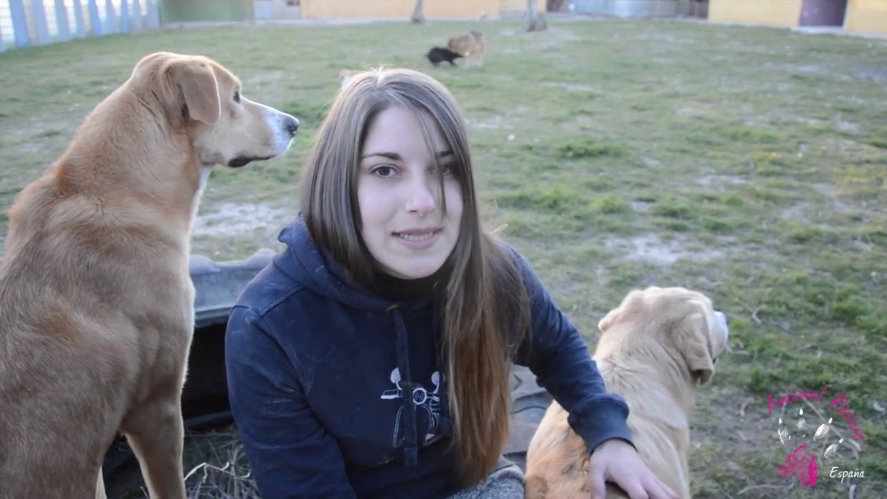 VOLUNTARIOS: LA EXPERIENCIA DE ANA | Animal Rescue España