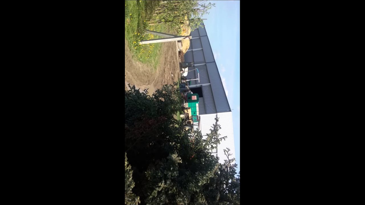 Opylanie sadu w pełnym słońcu