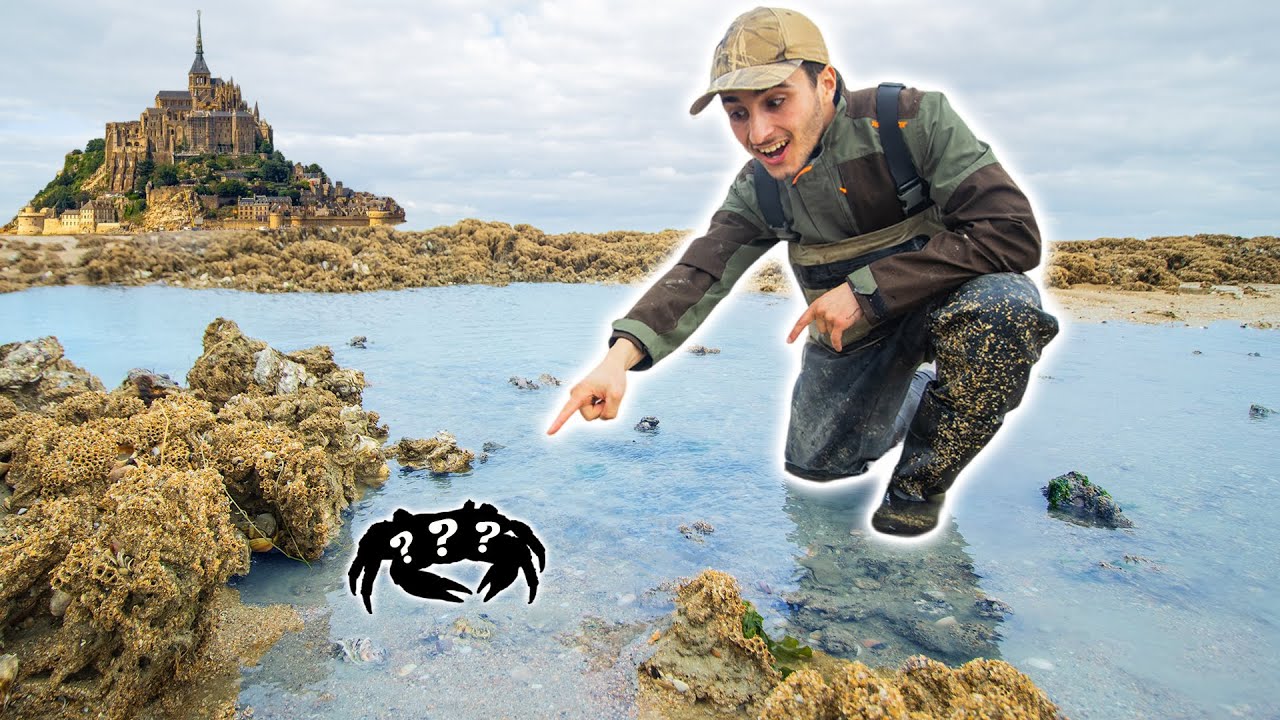 Je Pêche des Crabes à la Main ! Pêcher/Cuisiner/Manger !