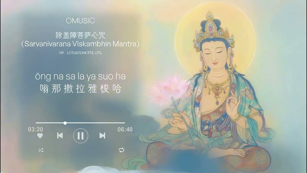 Universal Guardian 2026|Sarvanivarana Mantra 741Hz|Clear All Obstacles & Bad Luck 2026全生肖守護神|除蓋障菩薩心咒