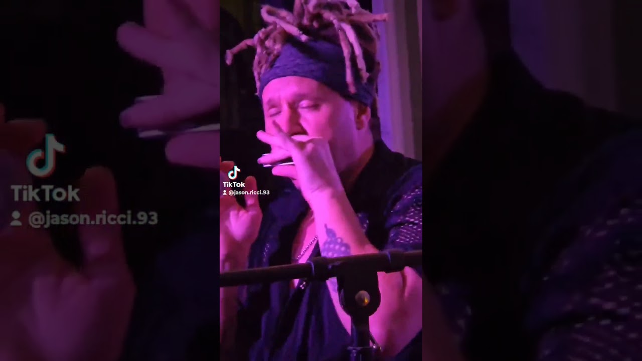 Acoustic Harmonica Solo #harmonica