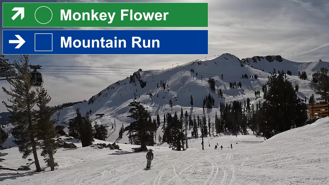 Palisades Tahoe, CA - 🟢 Monkey Flower to 🟦 Mountain Run (1-31-26) [4K]