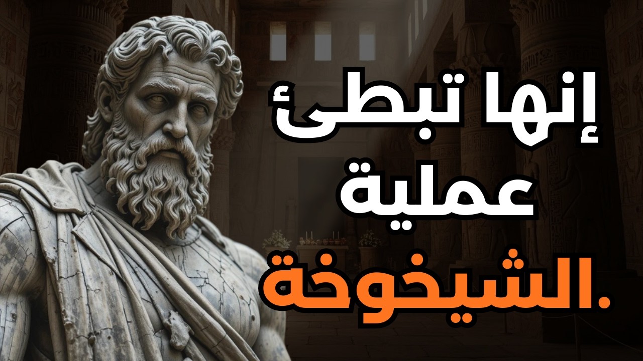 7 أطعمة خفية للحد من آثار الشيخوخة | الرواقية - الحكمة