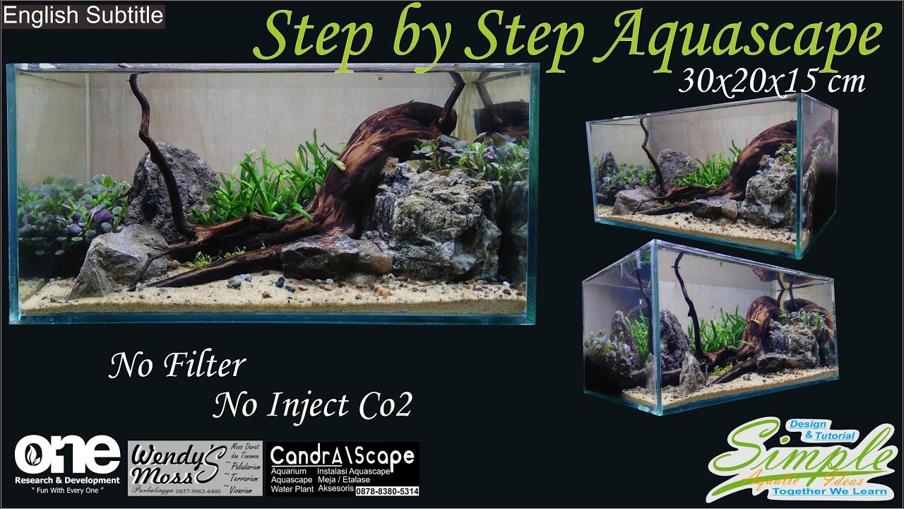 Step by Step Simple Aquascape Nature Low Tech Tank 30 cm #109