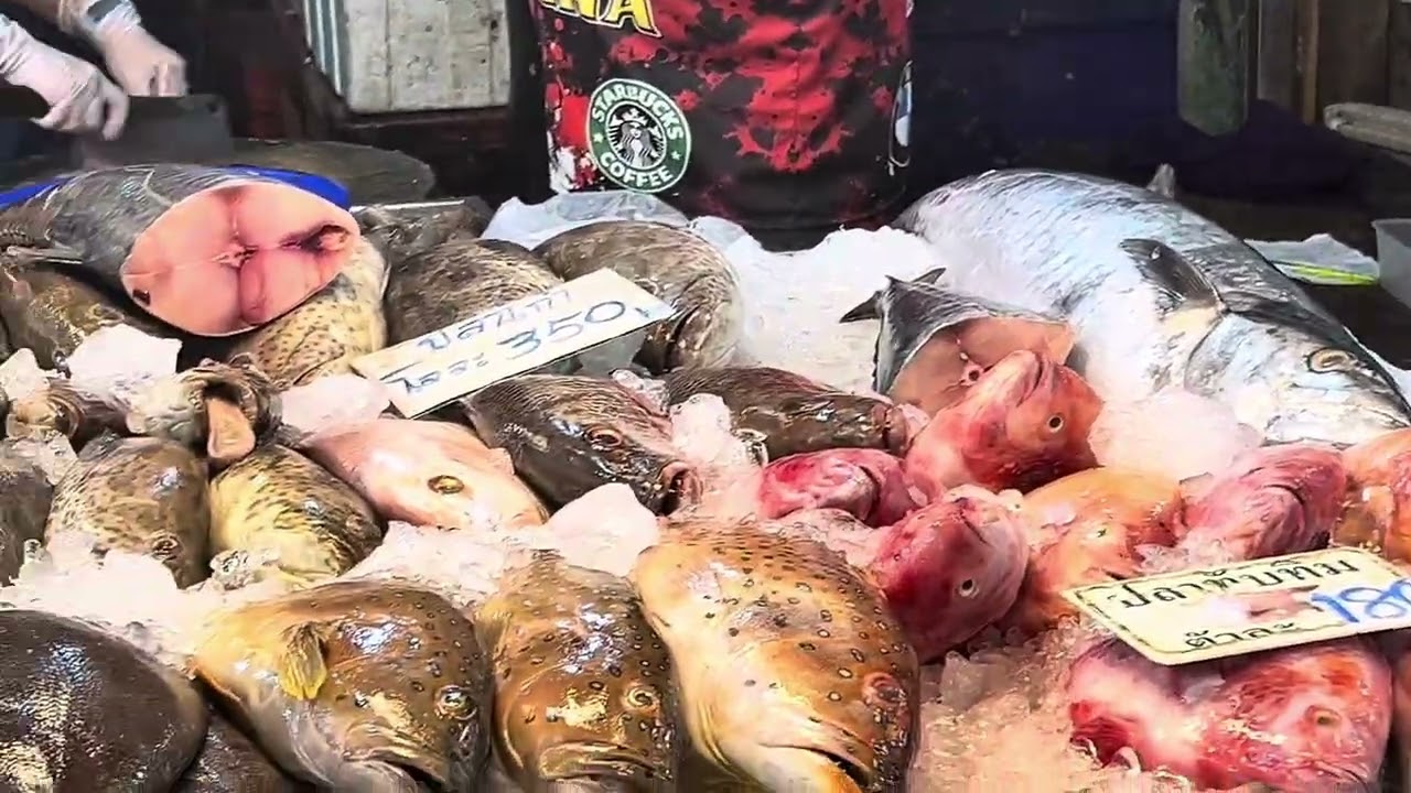 Поехали на рыбный рынок, купили всякой дичи 