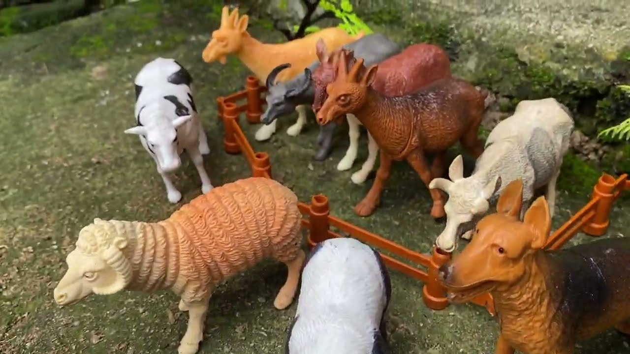 Hidden Animals Toy Game | Fun Learning for Kids