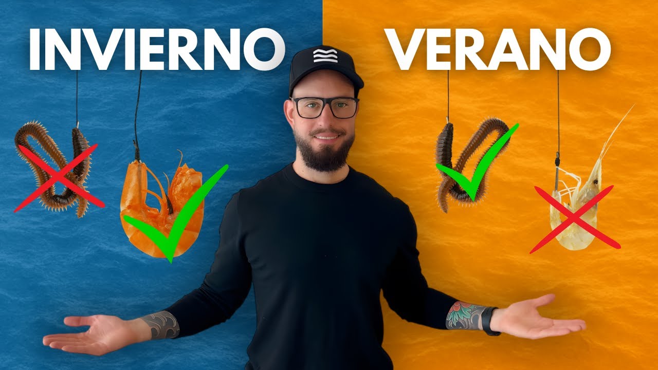 Los mejores cebos para pescar sargos seg&uacute;n la &eacute;poca del a&ntilde;o