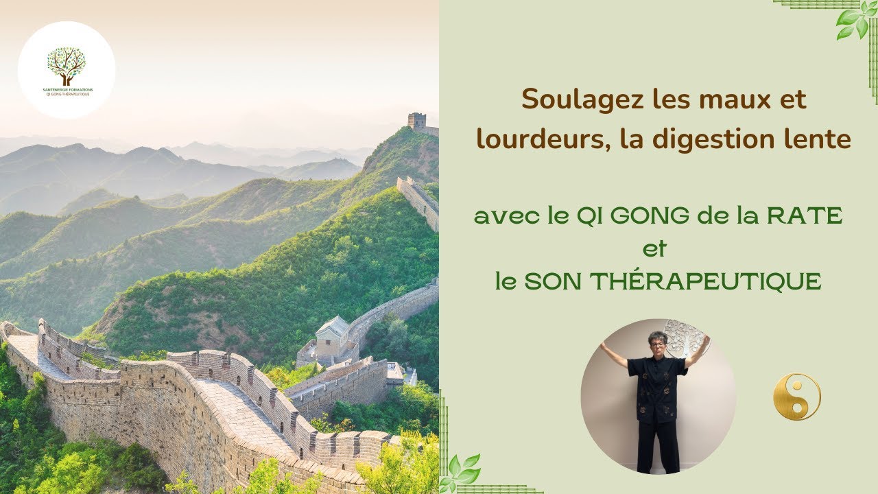 Soulagez les maux et lourdeurs d'estomac avec le Son thérapeutique Rate issu du Qi Gong