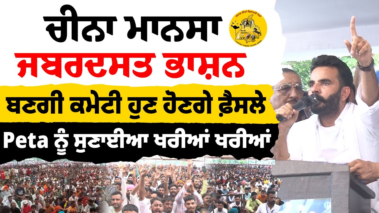Cheena Mansa ਚੀਨਾ ਮਾਨਸਾ ਜਬਰਦਸਤ ਭਾਸ਼ਨ | ਬਣਗੀ ਕਮੇਟੀ ਹੁਣ ਹੋਣਗੇ ਫ਼ੈਸਲੇ | Peta ਨੂੰ ਸੁਣਾਈਆ ਖਰੀਆਂ ਖਰੀਆਂ |