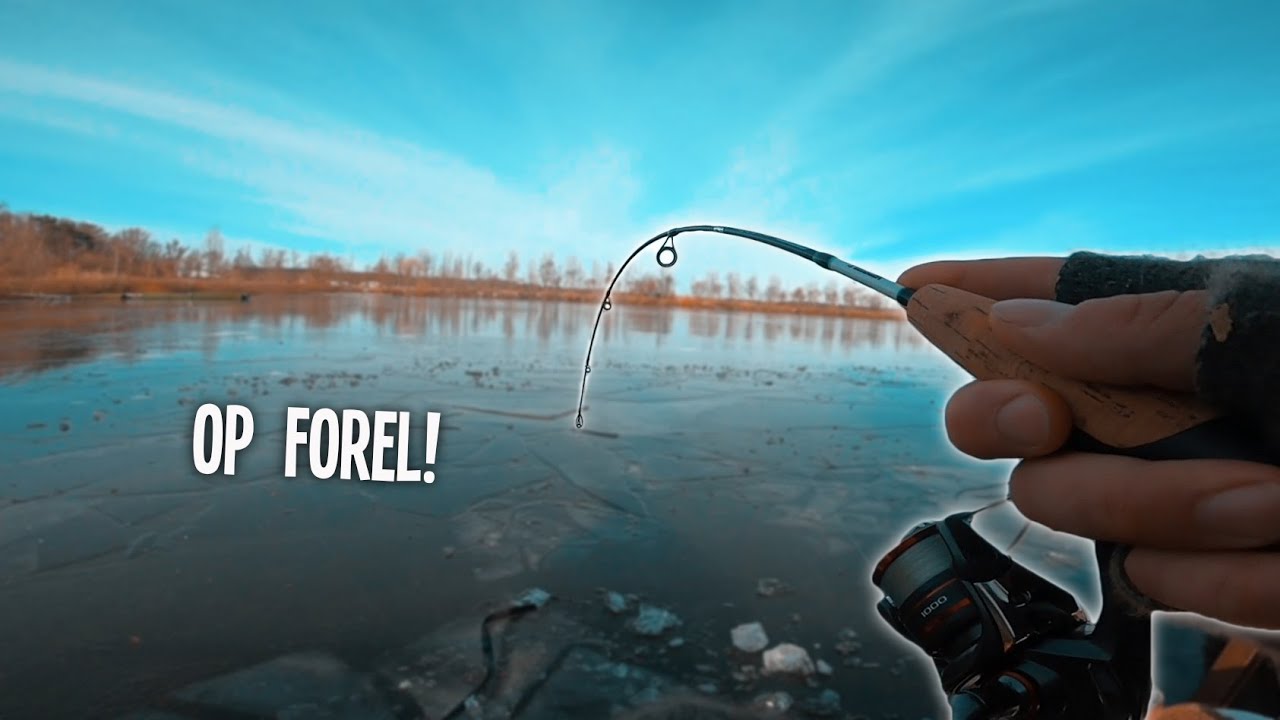 IJsvissen Op De Ronde Bleek! - VisTD Vlog #28
